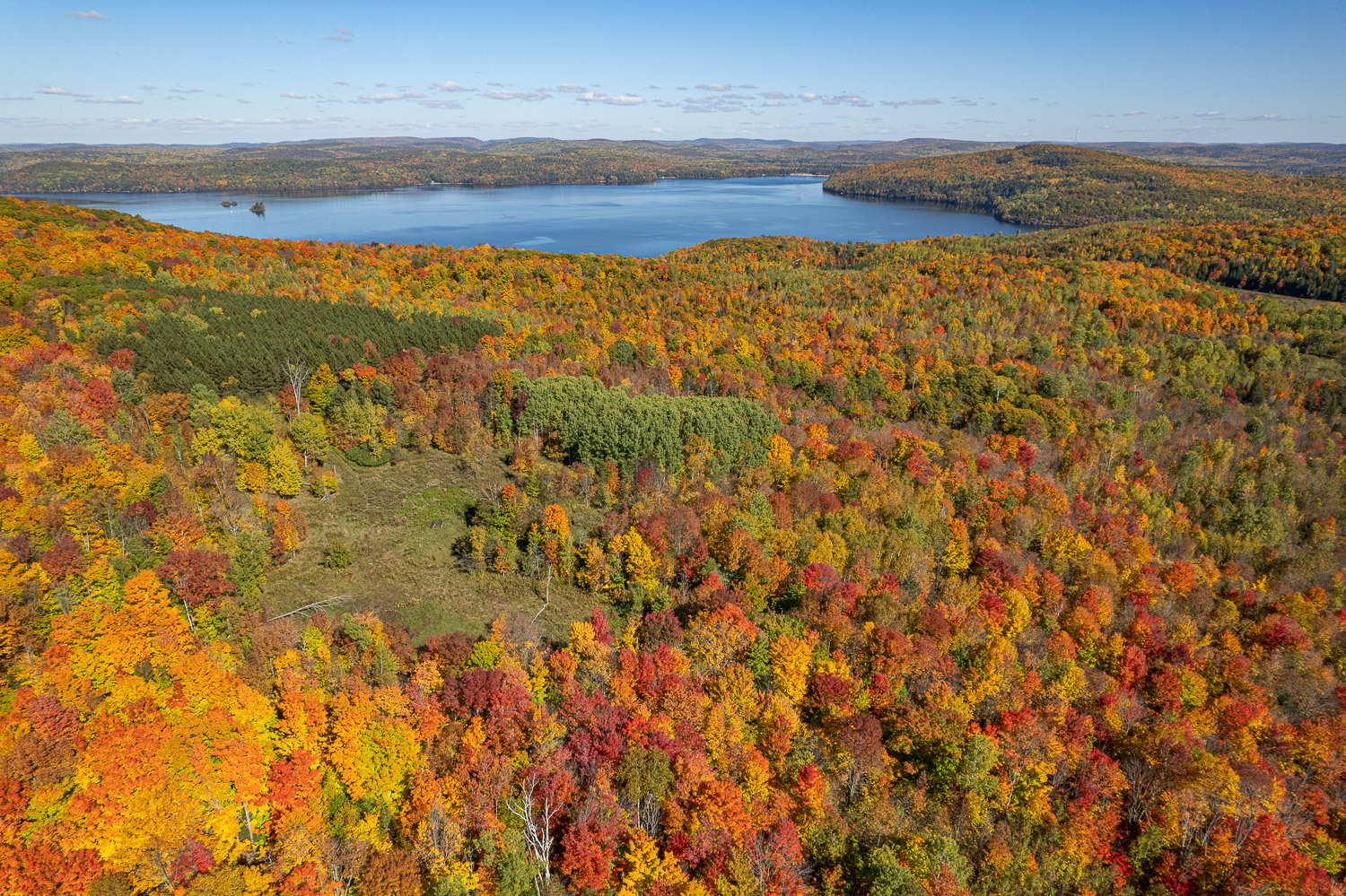Autumn forest and lake in Ontario